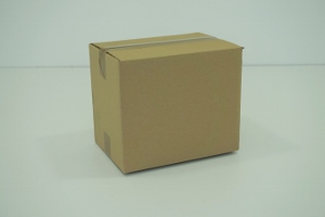 31x22x25 simple cannelure     500 cartons a 0.75€ 