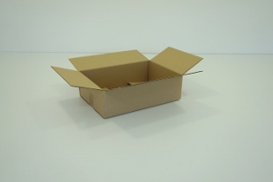 25x25x15 simple cannelure     1440 cartons a 0.45€ 