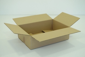 25x25x19 simple cannelure     1100 cartons a 0.51€ 