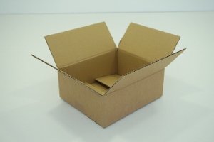 31x21x10 simple cannelure     960 cartons a 0.49€ 