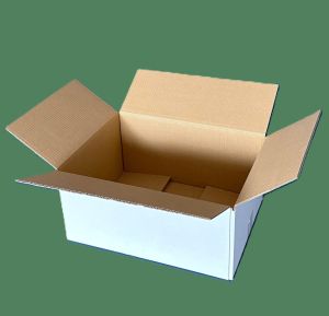 38X29X18 double micro cannelure        360 cartons a 0.70 €