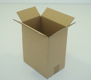 31x21x30 simple cannelure     600 cartons a 0.48 €