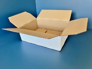 39x29x12 double micro cannelure        800 cartons a 0.64 €