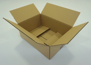 42x25x18 simple cannelure    880 cartons a 0.48 €