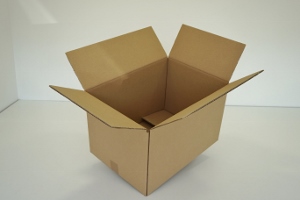 50x33x25 double cannelure     300 cartons a 1.49€ 