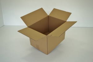 29x25x29 simple cannelure     800 cartons a 0.40 €